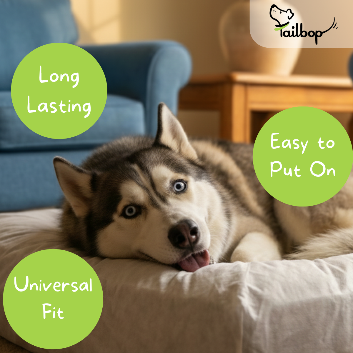 Disposable Pet Bed Covers - 3 Pack