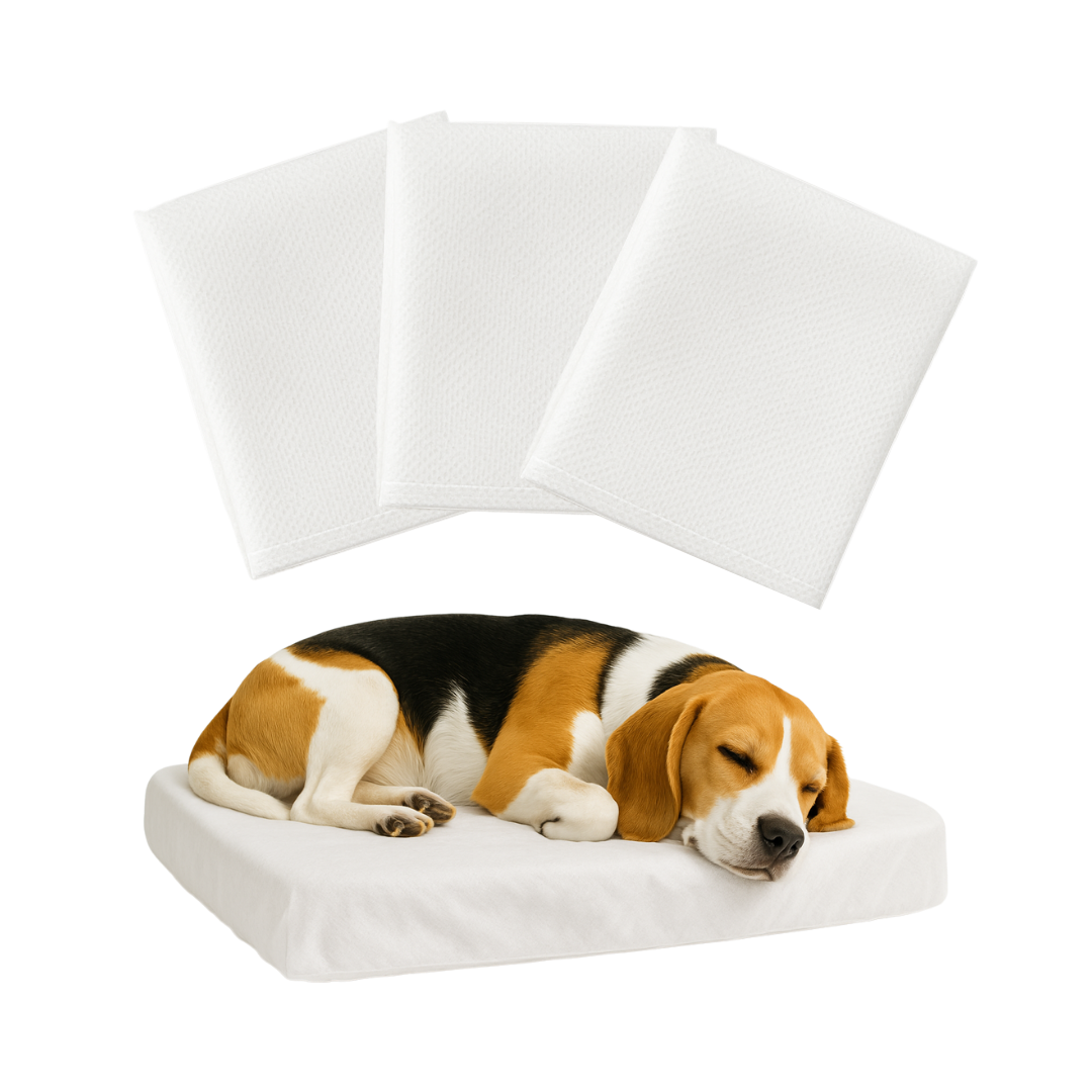 Disposable Pet Bed Covers - 3 Pack